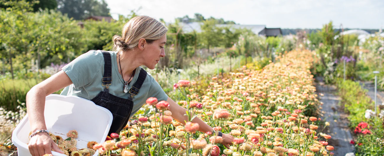 Cultivating Global Floral Excellence